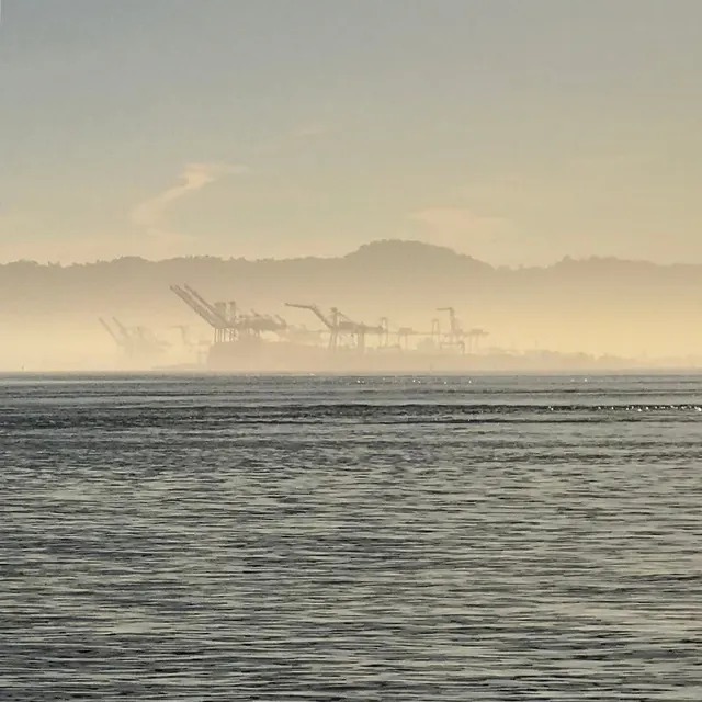 A flock of 1,500 tons container cranes make it across the Oakland savannah in the early morning, efficiently confusing the immense predator container vessels into thinking the cranes are one giant organism
